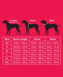 Matching Holiday Stripe Pet Sweater